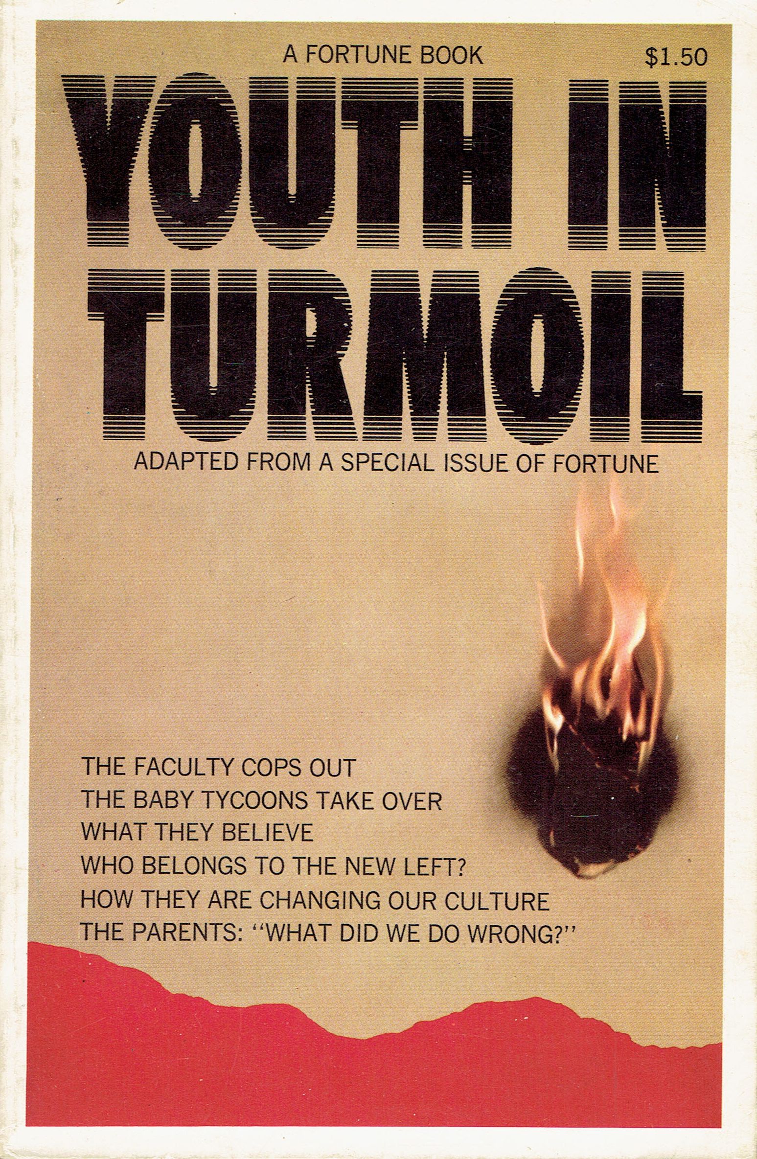 Youth in Turmoil Cover