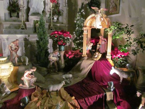 Abbeville Church 7 Select