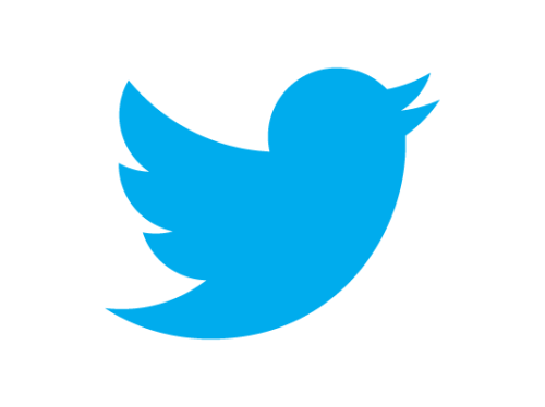 Twitter Bird